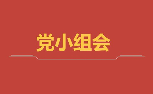 公司第二黨支部第一黨小組召開(kāi)線(xiàn)上黨小組學(xué)習(xí)會(huì)議