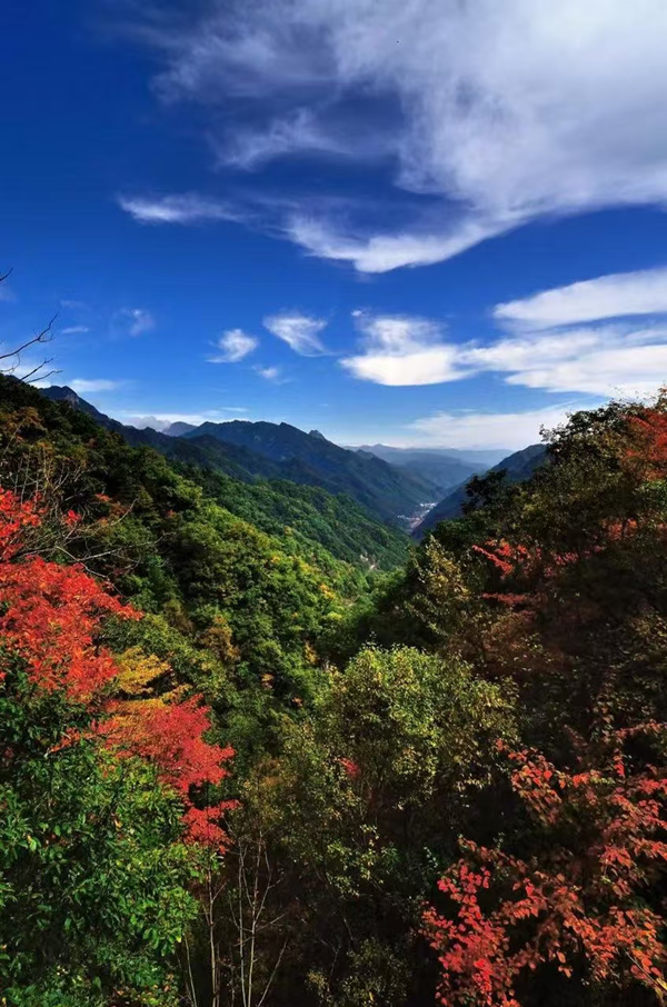 1754615931920769.png 秦嶺關(guān)子溝尾礦庫閉庫工程_副本.png